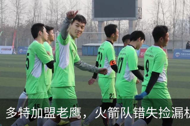 多特加盟老鹰，火箭队错失捡漏机会？专家分析：斯通未出手太可惜
