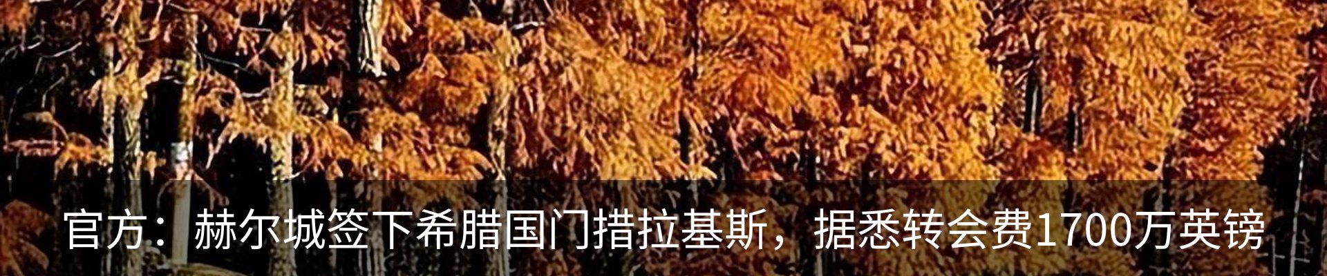 行业资讯